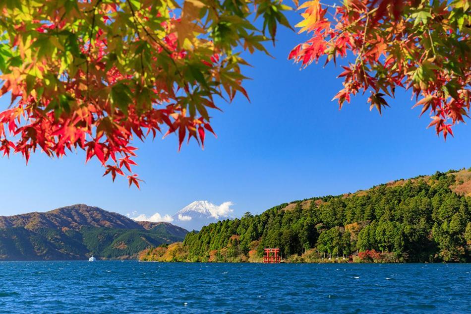 New Open『天然温泉』芦ノ湖畔の完全貸切別荘 Hakone Ngoại thất bức ảnh